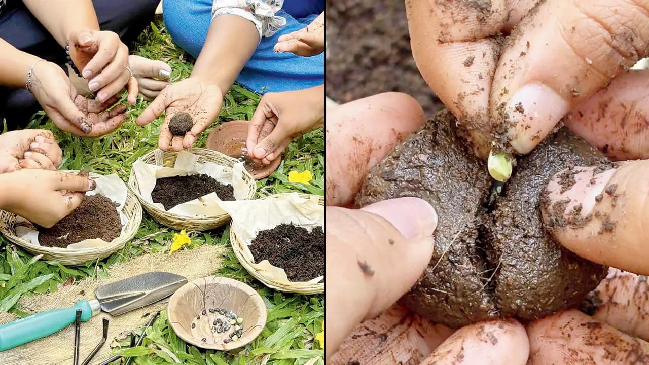 Learn how to grow your own greens at this workshop in Mumbai