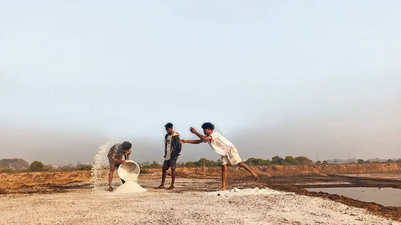 Immerse in this Vasai saltpan walk to learn how local communities make it