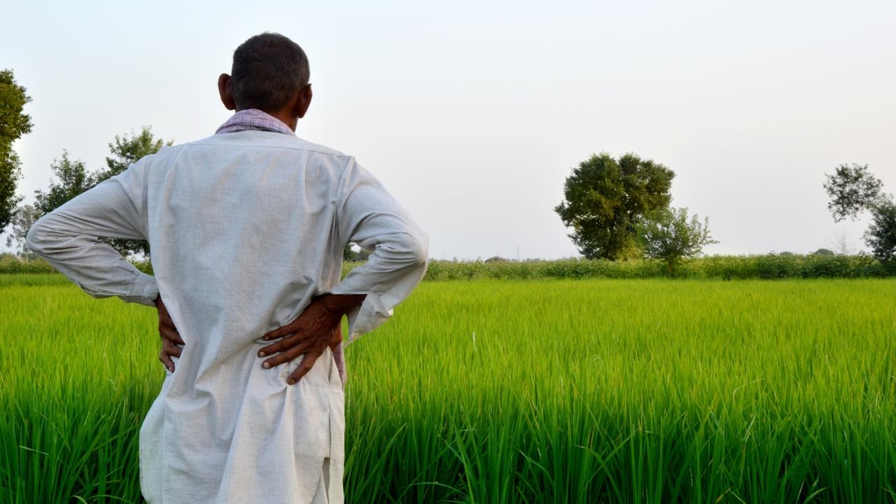 Gujarat govt announces Rs 1,419 cr relief package for farmers affected by rains